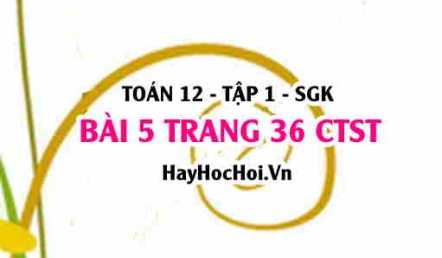 Bài 5 trang 36 Toán 12 tập 1 Chân trời sáng tạo